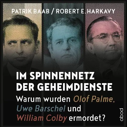 book cover for Im Spinnennetz der Geheimdienste