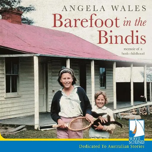 book cover for Barefoot in the Bindis