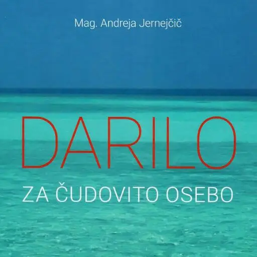 book cover for Darilo za čudovito osebo