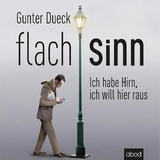 book cover for Flachsinn
