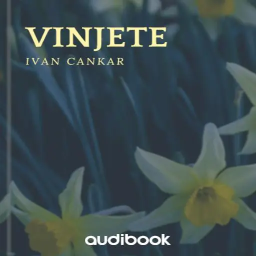 book cover for Vinjete