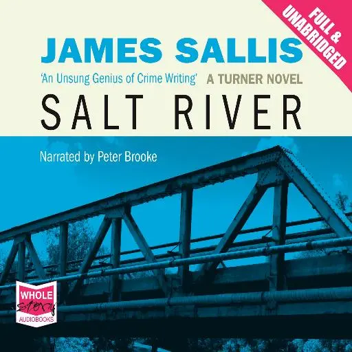 book cover for Salt River