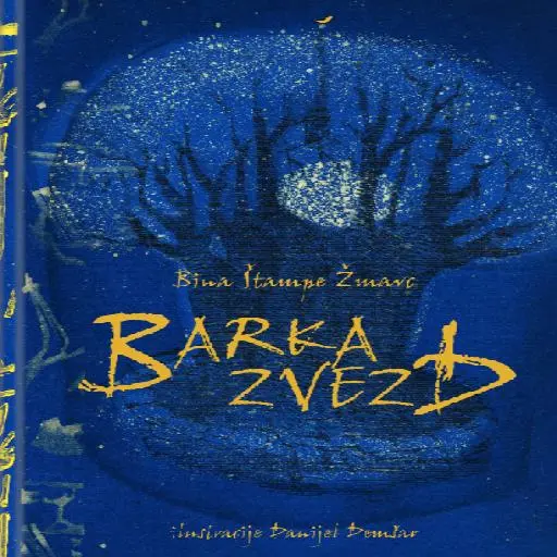 book cover for Barka zvezd