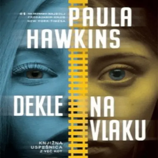 book cover for Dekle na vlaku