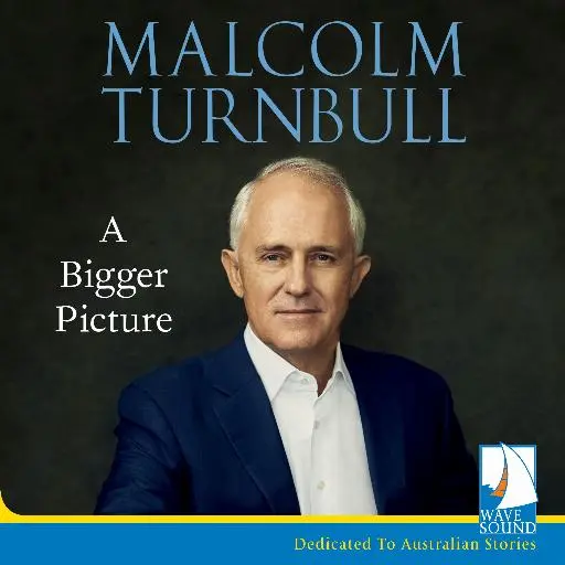 book cover for A Bigger Picture