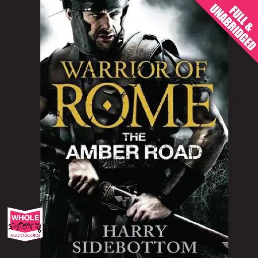 book cover for The Amber Road