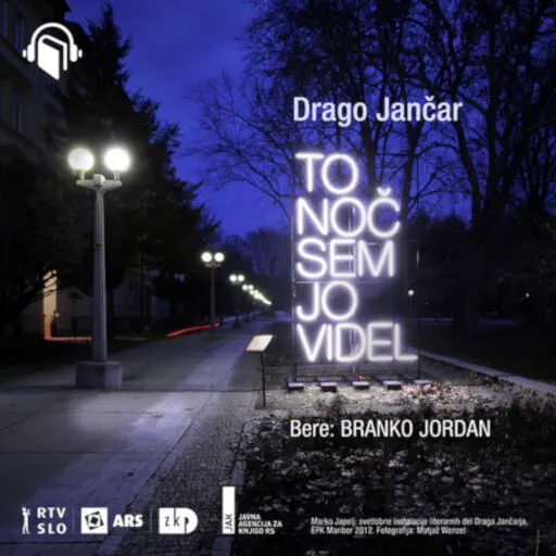 book cover for To noč sem jo videl